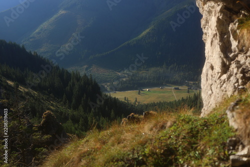 Aerial view of Mnichy Chochołowskie rock towers and Skorusi Źleb gully on a sunny summer day, Tatra Mountains