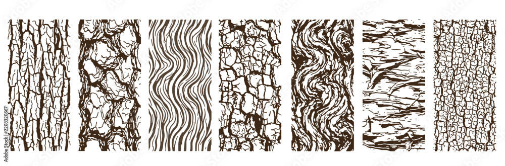 Fototapeta premium Set of vector tree bark textures with hand drawn doodle wood patterns and organic lines