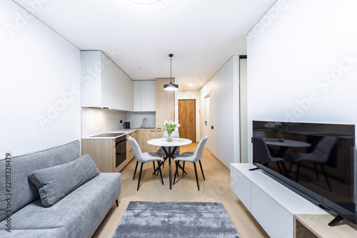 Modern Minimalist Apartment Living Room and Kitchenette With Dining Area and Neutral Decor