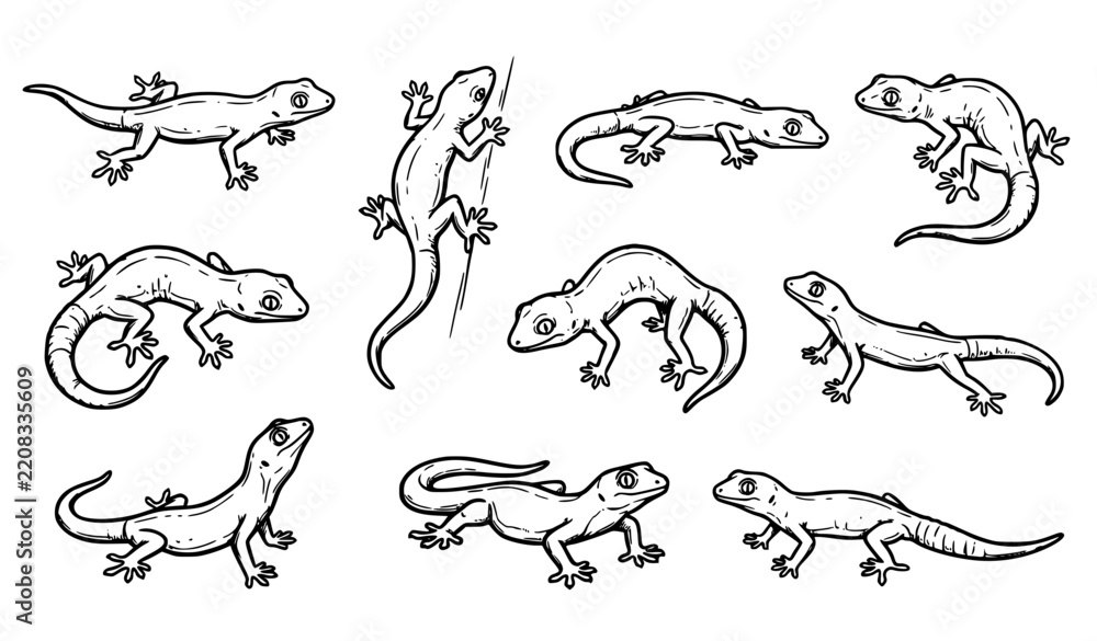 Obraz premium Black and white hand drawn gecko illustrations set with unique reptile poses
