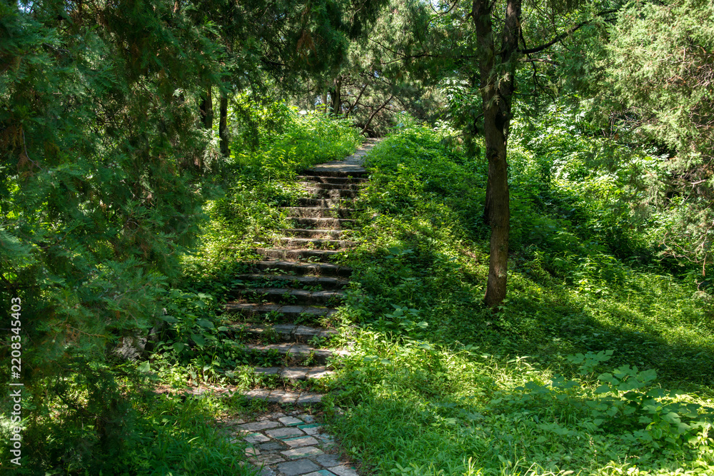 Obraz premium Historic Stone Trail Through Beijing Palace Forest Gardens