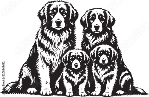 Fluffy Long Haired Dog Black and White Vector Silhouette Illustration