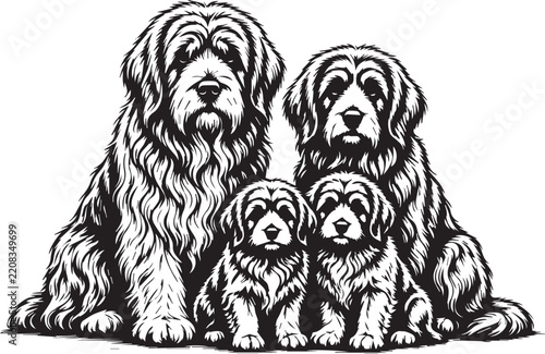 Fluffy Long Haired Dog Black and White Vector Silhouette Illustration