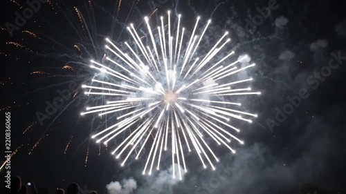 Dazzling Fireworks Explosion Against Dark Night Sky for Celebration and Event Marketing