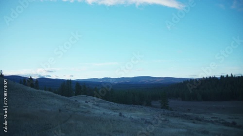 Forested Montana hills under a clear blue sky