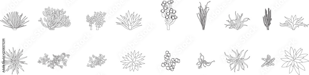 Naklejka premium Succulent and cactus trees set, plants, shrubs, top and side view, floor plan, architectural plan, landscape, icon, symbol, cad, editable stroke, vector, illustration