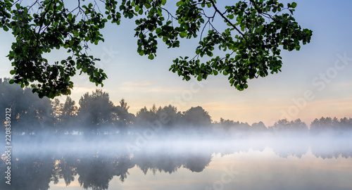 Forest lake covered in morning fog, framed by overhanging leaves
