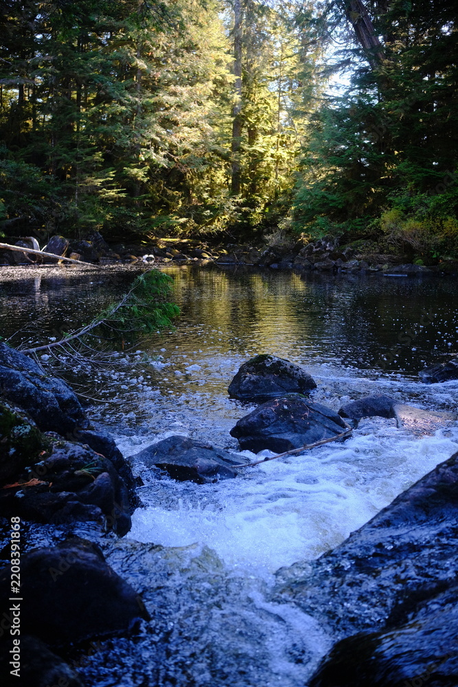 Obraz premium Sunlit forest river flowing over rocks toward calm water