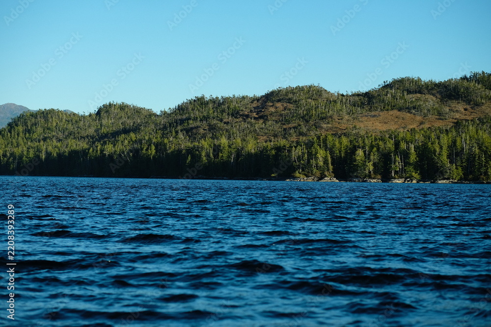 Obraz premium Blue water and forested hills under a clear sky