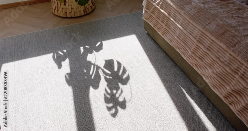 Plant shadow is shifting across sunlit rug in bedroom as leaves are swaying from slight breeze