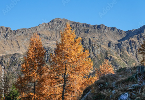 Herbstwanderung am Hirzer in Südtirol