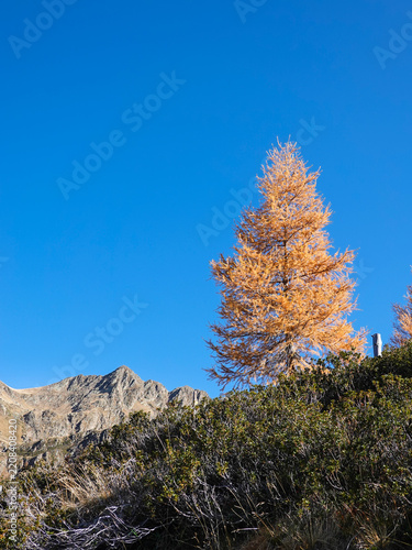 Herbstwanderung am Hirzer bei Meran in Südtirol