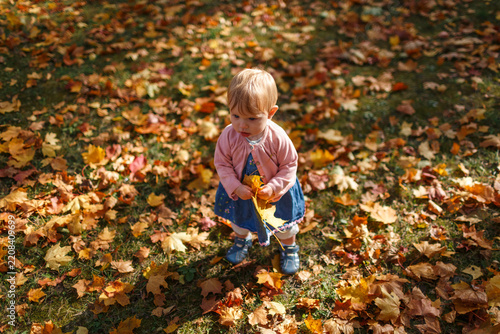A child holds yellow maple leaves standing on ground covered with autumn foliage