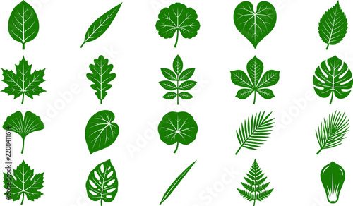 A vibrant collection of diverse leaf icons showcasing the beauty of botanical elements and nature's designs