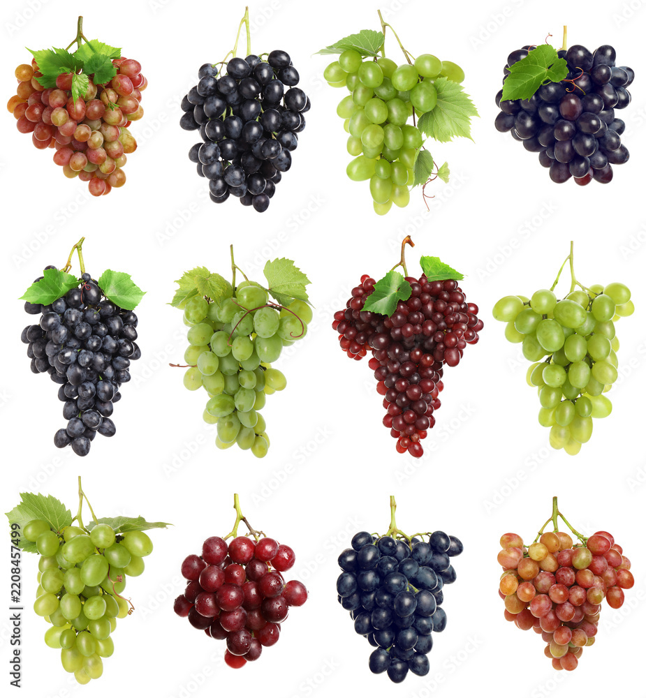 Obraz premium Bunches of different grapes isolated on white, set