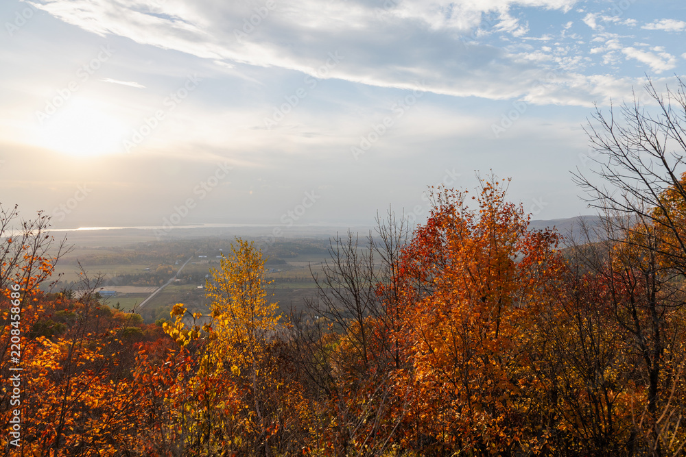 Fototapeta premium Autumn foliage overlooking valley landscape at sunset. Vibrant fall trees on hillside with distant river view. Champlain Lookout in Gatineau Park, Quebec, Canada.