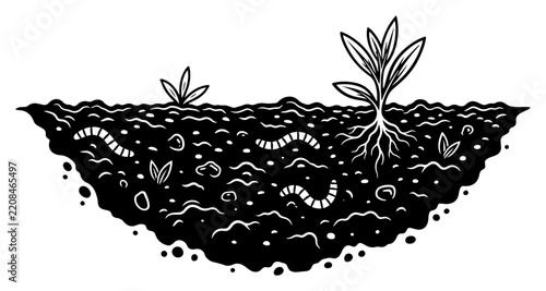Soil Cross Section With Seedling Roots and Worms