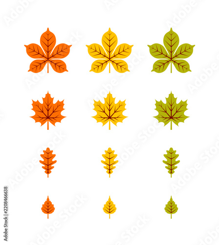 Autumn leaves vector set isolated on white background. Collection of maple, oak, chestnut and birch leaf icons in orange, yellow and green colors. Fall foliage graphic elements.