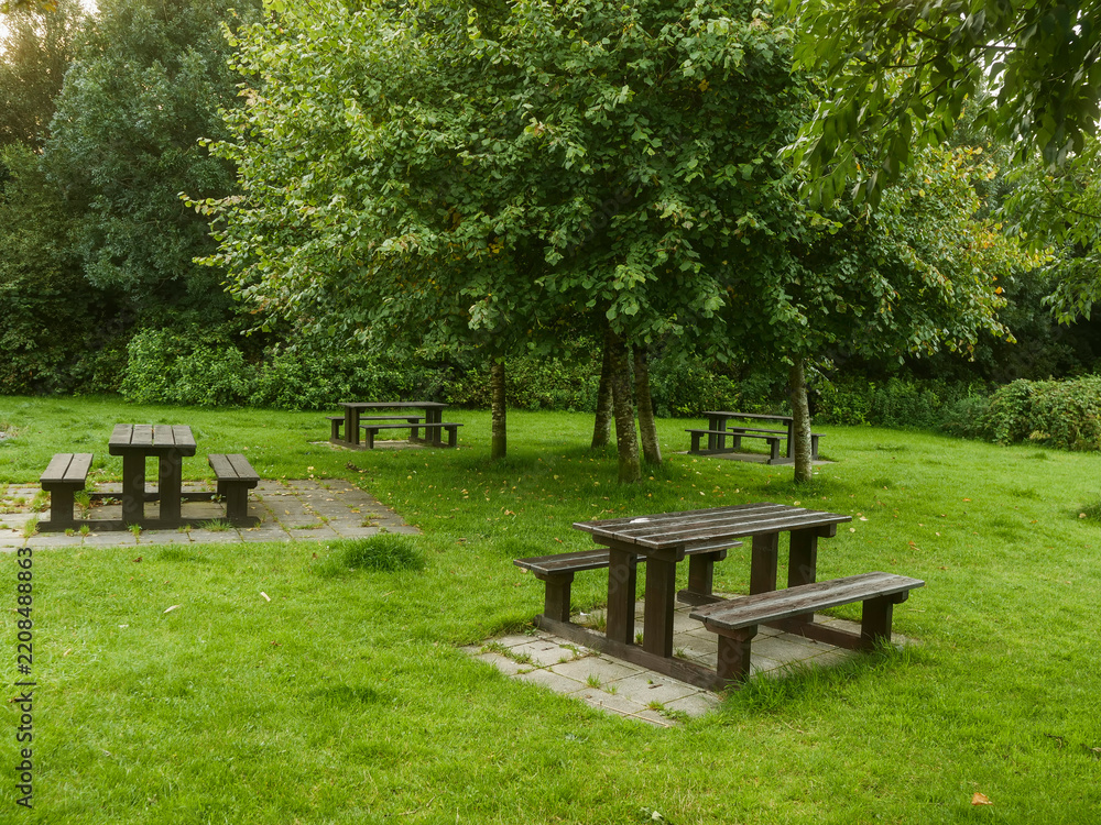 Fototapeta premium Several wooden picnic tables sit beneath leafy green trees in a grassy park. Sunlight filters through the canopy, creating soft shadows on the ground. The scene feels calm. Ideal for advertising parks