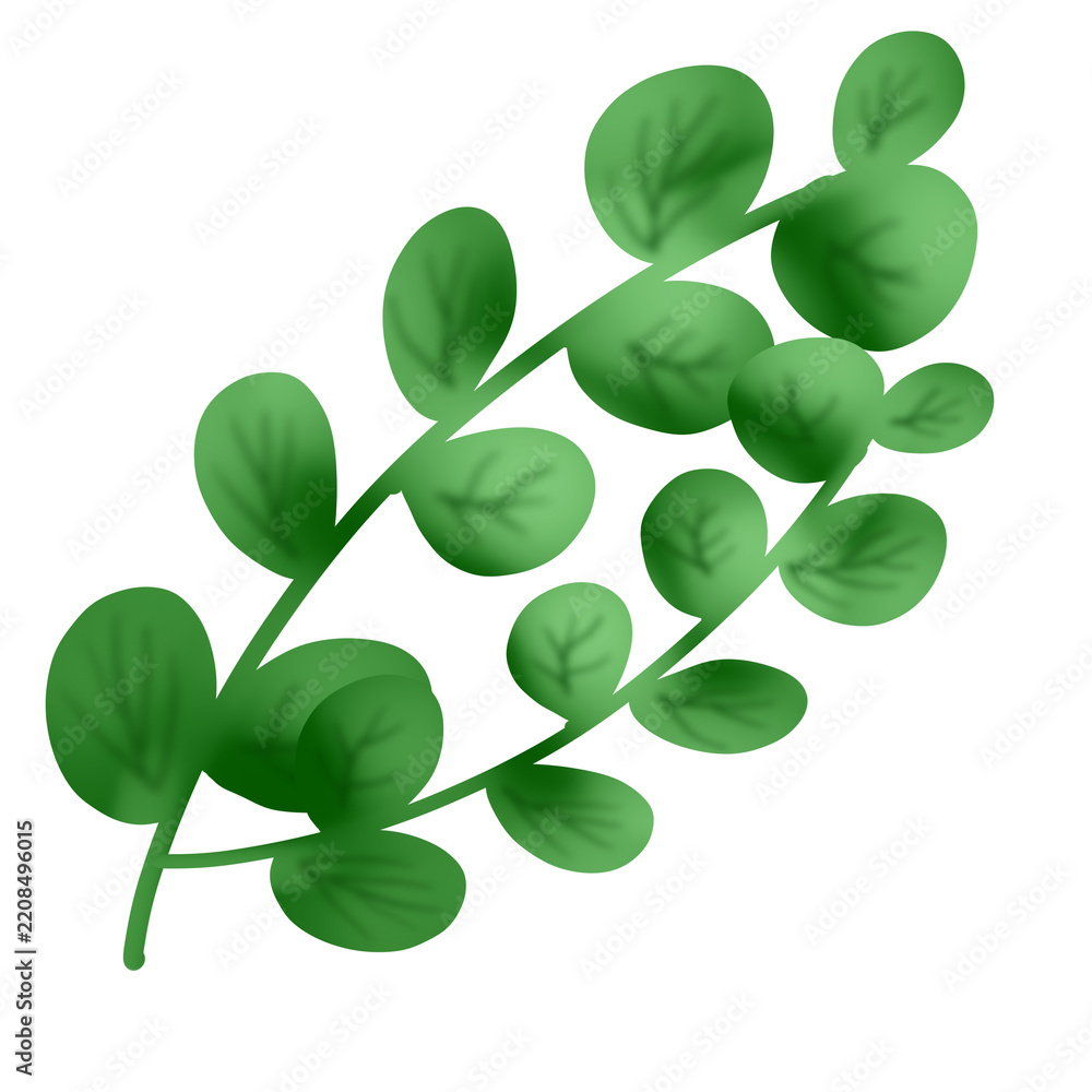 Obraz premium Green Elips Leaf