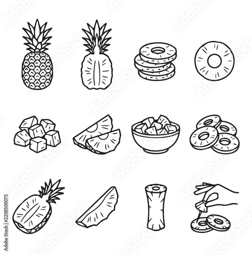 Pineapple slices and whole fruit in a clean line art style for culinary and tropical concepts