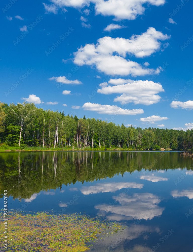 Fototapeta premium Still lake mirroring forest and summer clouds