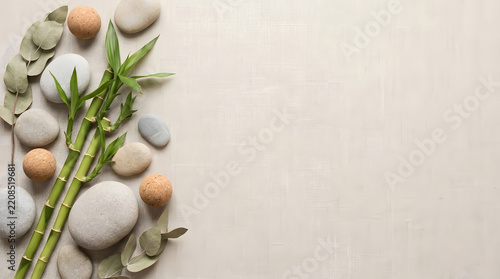 a bamboo plant with stones and bamboo leaves on a beige background