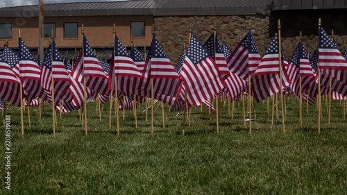 A multitude of American flags in a memorial display on a lawn