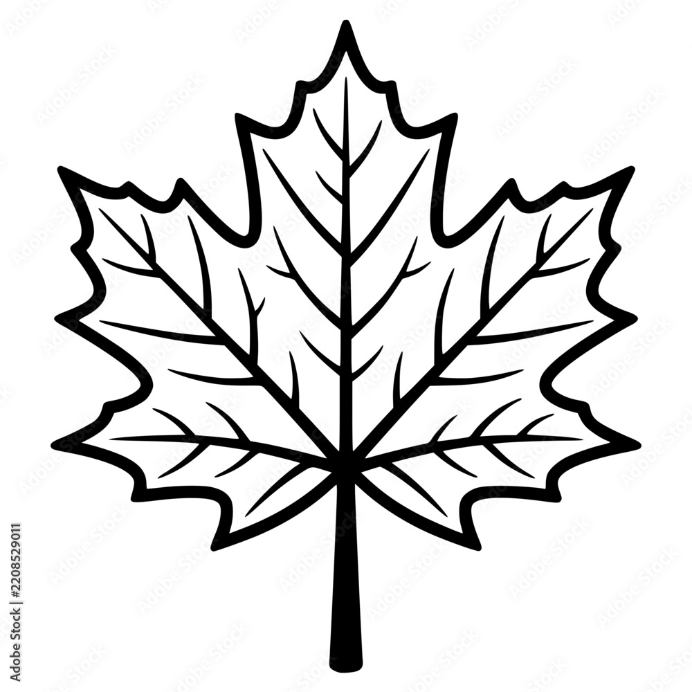 Fototapeta premium Simple black outline vector graphic of single maple leaf