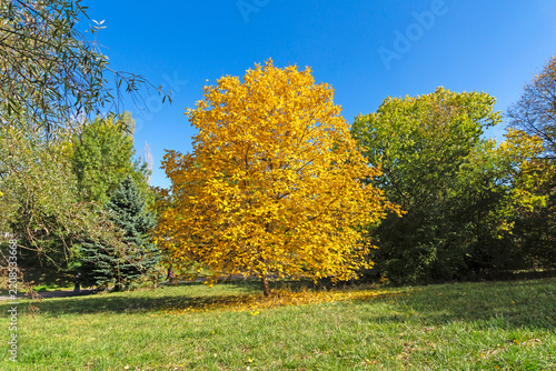 Amazing Autumn Landscape of South Park in city of Sofia, Bulgaria