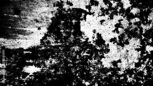 Obraz na plátně A black and white image depicting a rough, textured surface with patchy areas of white and black, suggesting decay or corrosion