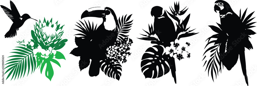 Obraz premium Tropical bird and exotic foliage silhouette collection with parrots toucan hummingbird and botanical elements