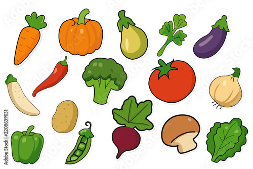 Set of various fresh vegetables and herbs