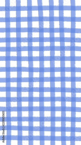 blue and white checkered pattern