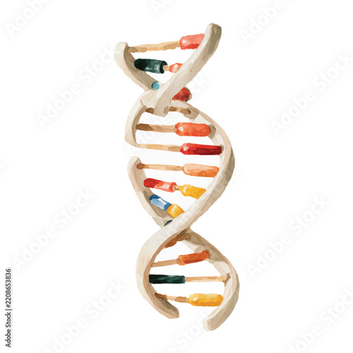 Watercolor Vector DNA Double Helix Genetic Science Illustration 2.