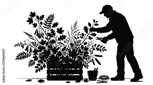 Gardener silhouette pruning vibrant autumn leaves in wooden box with gardening shears