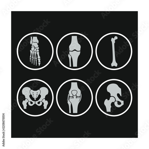Human skeleton and pelvis anatomy icons
