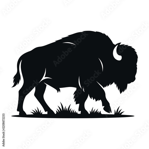 Bison walking in grassy field, black silhouette, wildlife animal