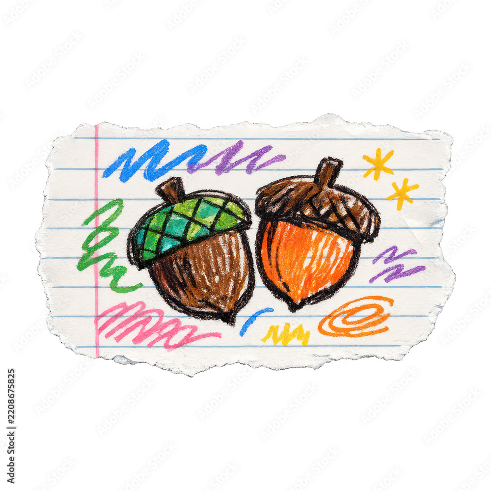Obraz premium PNG Colorful hand-drawn acorn illustration.