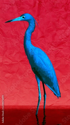blue heron ardea cinerea