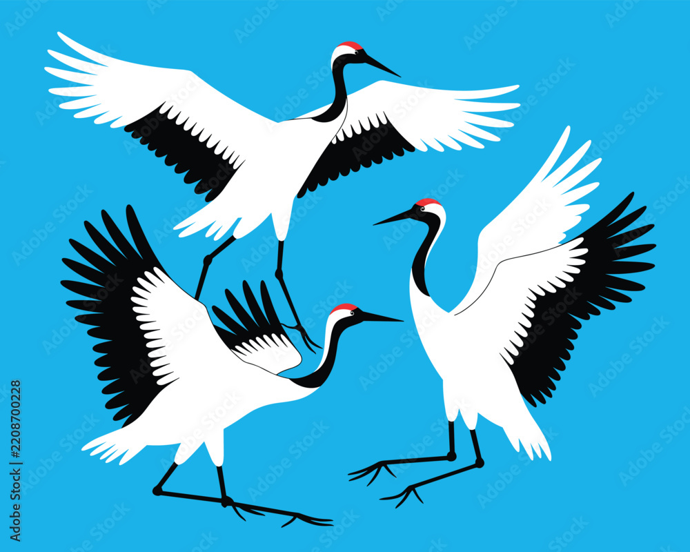 Obraz premium Three redcrowned cranes flying and landing in a beautiful Japanesestyle graphic illustration