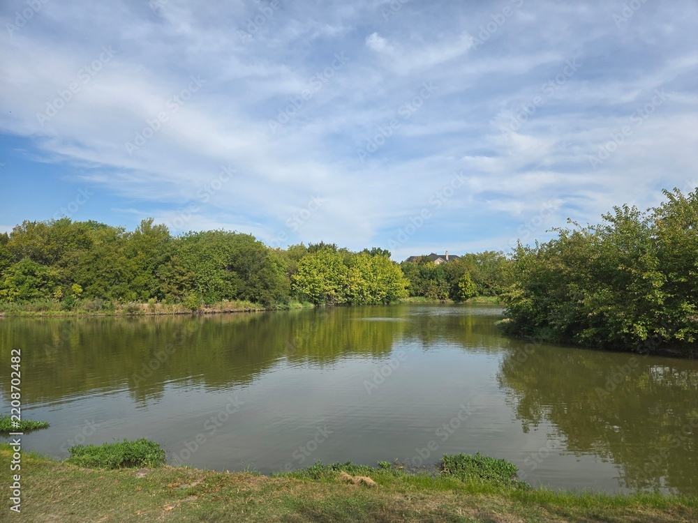 Obraz premium lake in the forest