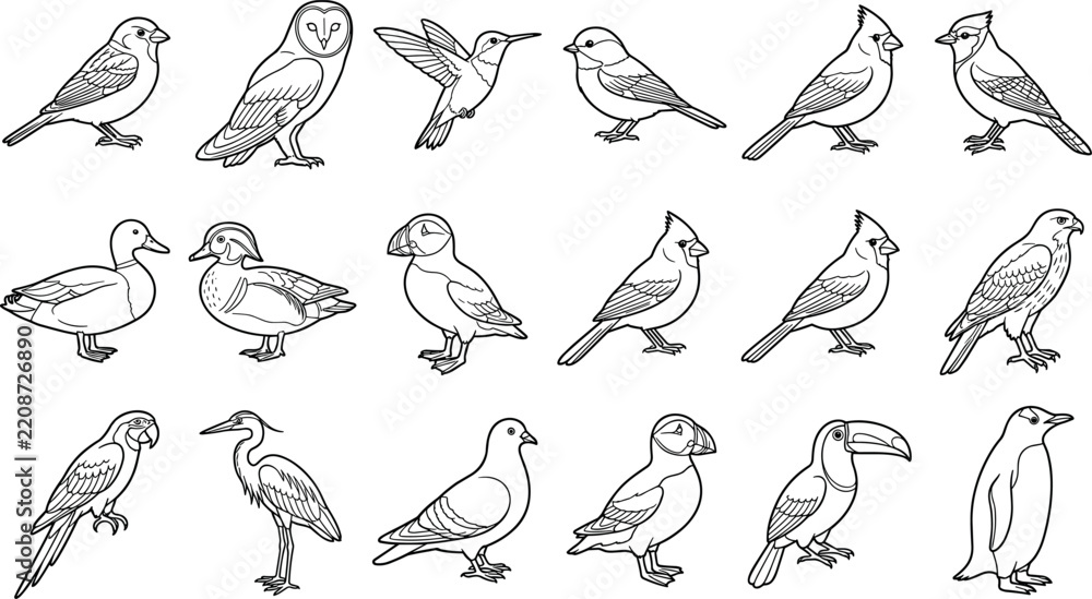 Obraz premium Vintage bird line art vector set featuring sketch style illustrations of owl hummingbird duck toucan and penguin isolated on white