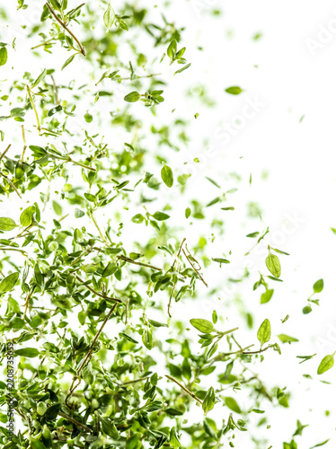 Fresh thyme leaves and sprigs falling through air on white background