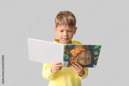 Early childhood education and literacy, young boy reading a picture book abou...