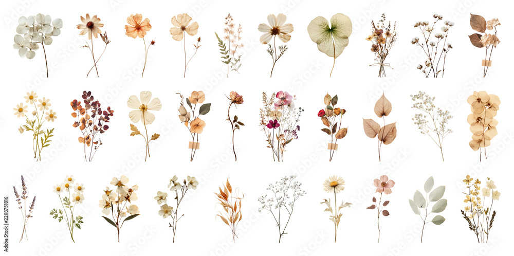 Obraz premium PNG Collection of dried floral arrangements in vintage style, transparent background