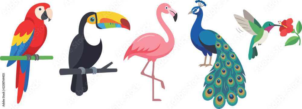 Obraz premium A collection of colorful exotic birds including a parrot toucan flamingo peacock and hummingbird.