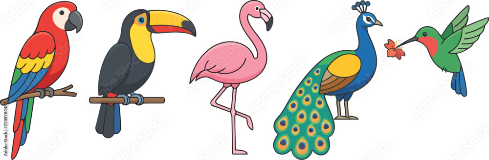 Fototapeta premium A collection of colorful tropical birds including a parrot toucan flamingo peacock and hummingbird.