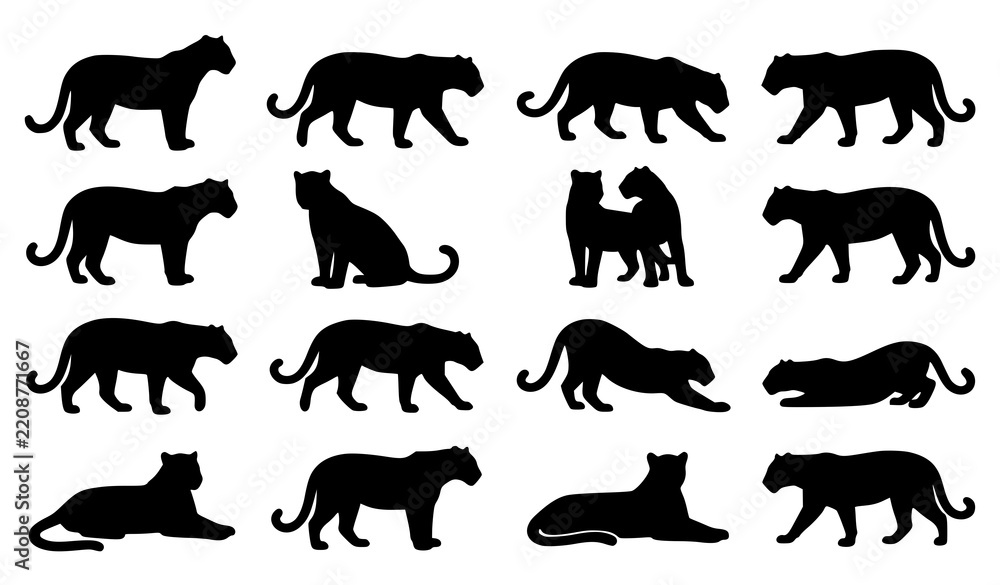 Fototapeta premium Collection of black panther silhouettes in various poses against a white background