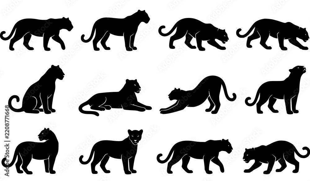 Obraz premium Collection of black silhouette images depicting a majestic cougar in various poses and actions